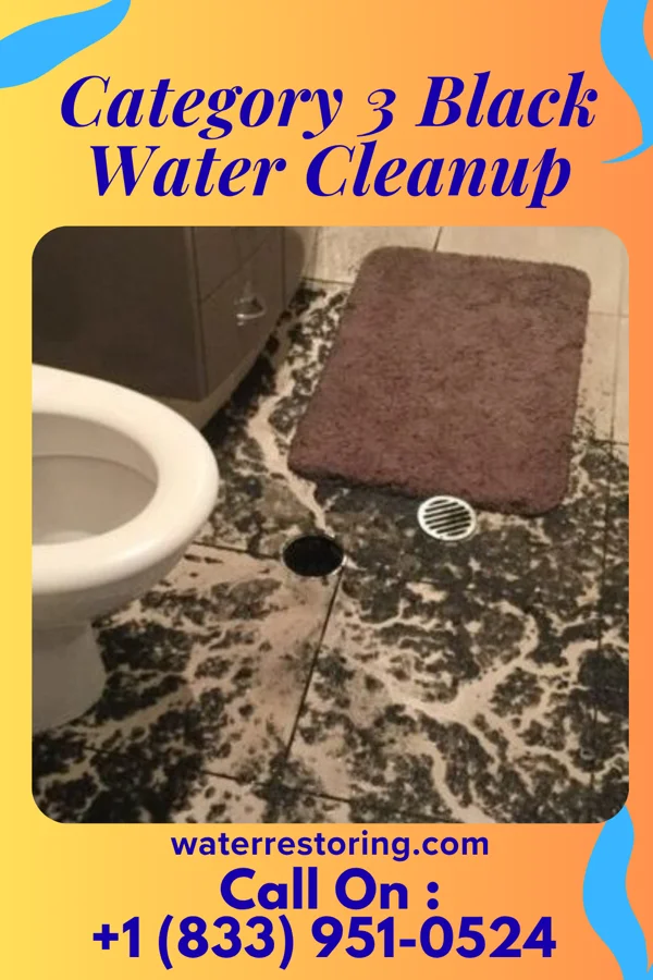 Category 3 Black Water Cleanup in Tilghman Island, MD