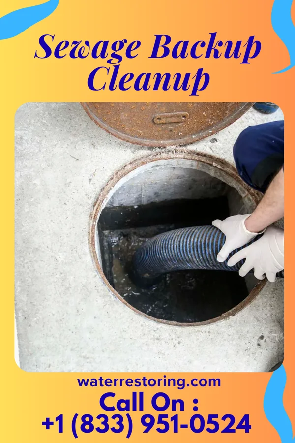 Sewage Backup Cleanup in Tilghman Island, MD